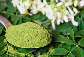 moringa pills price in kenya moringa tree moringa seeds moringa powder moringa benefits moringa plant moringa seeds benefits moringa health benefits moringa weight loss moringa benefits for hair moringa powder dosage moringa seeds what moringa can cure what is moringa good for Nairobi Kenya daresalaam tanzania juba south sudan Khartoum sudan Kigali Rwanda kampala Uganda bunjumbura Burundi kinshasaDRC ginkgo biloba Maputo Mozambique accra Ghana Dakar Senegal Lusaka Zambia Monrovia angola jibouti asmara Eritrea tunis Tunisia rabat morocco cairo Egypt Harare zimbambwe diaremedium Mauritius Seychelles Pretoria south Africa ginkgo goodniter spray lagos Nigeria moringa extracts products shop capeverde eguitorial guinea mogadishu Somalia adisababa Ethiopia togo Liberia sierraleone moringa shop africa +254723408602