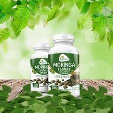 moringa pills price in kenya moringa tree moringa seeds moringa powder moringa benefits moringa plant moringa seeds benefits moringa health benefits moringa weight loss moringa benefits for hair moringa powder dosage moringa seeds what moringa can cure what is moringa good for Nairobi Kenya daresalaam tanzania juba south sudan Khartoum sudan Kigali Rwanda kampala Uganda bunjumbura Burundi kinshasaDRC ginkgo biloba Maputo Mozambique accra Ghana Dakar Senegal Lusaka Zambia Monrovia angola jibouti asmara Eritrea tunis Tunisia rabat morocco cairo Egypt Harare zimbambwe diaremedium Mauritius Seychelles Pretoria south Africa ginkgo goodniter spray lagos Nigeria moringa extracts products shop capeverde eguitorial guinea mogadishu Somalia adisababa Ethiopia togo Liberia sierraleone moringa shop africa +254723408602