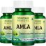 Amla Powder Products Kenya