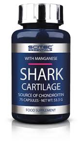 Shark cartilage price in kenya where to buy Shark cartilage reviews Shark cartilage side effects Shark cartilage ingredients Shark cartilage dosage Shark cartilage before and after photos Nairobi Kenya daresalaam tanzania juba south sudan Khartoum sudan Kigali Rwanda kampala Uganda bunjumbura Burundi kinshasaDRC ginkgo biloba Maputo Mozambique accra Ghana Dakar Senegal Lusaka Zambia Monrovia angola jibouti asmara Eritrea tunis Tunisia rabat morocco cairo Egypt Harare zimbambwe Shark cartilage Mauritius Seychelles Pretoria south Africa Shark cartilage lagos Nigeria maxman Shark cartilage shop capeverde eguitorial guinea mogadishu Somalia adisababa Ethiopia togo Liberia sierraleone Shark cartilage shop africa +254723408602