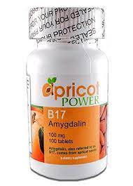 Apricot Power B17 Amygdalin 500mg Tablets Health Benefits