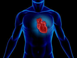 Where can I buy Cardioton Capsules?