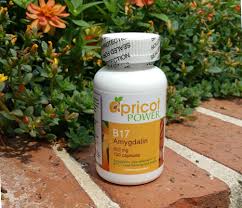 EFFECTERO CAPSULES, Apricot Power B17/Amygdalin