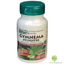 Gymnema Sylvestre 300 mg 60s ingredients